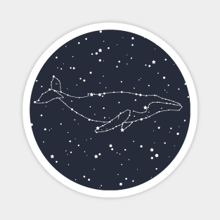 Whale Constellation Magnet